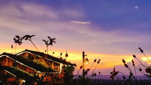 Quán ChiuHiu - Top 5 quán cafe ngắm hoàng hôn biển hồ Gia Lai